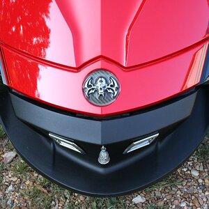 LeesSpyder12