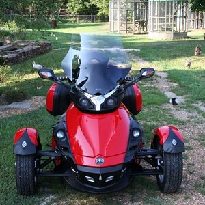 LeesSpyder25
