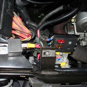 fuse pnl.