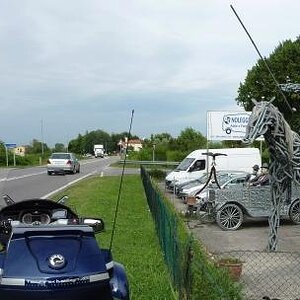 horse