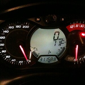 IMG 0307r30