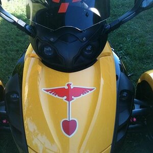 IMG 0323r30