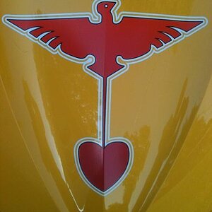 IMG 0356r30