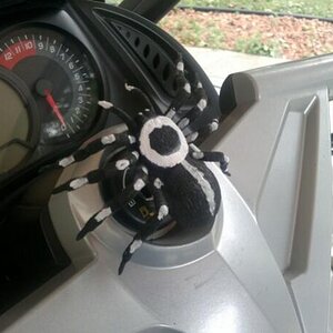 spyder4