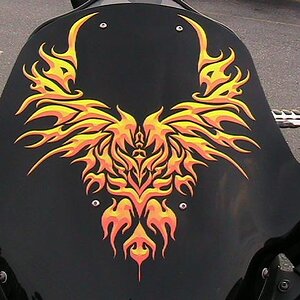 De shield.