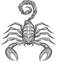 scorpion56's Avatar