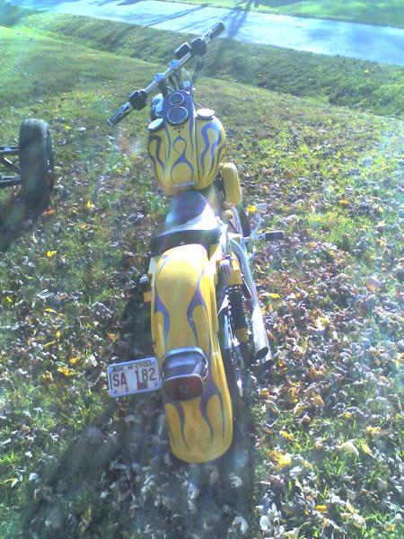 1989 HD (back view)