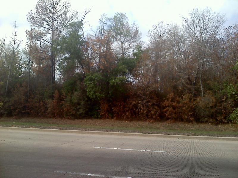 2011 Fall Colors