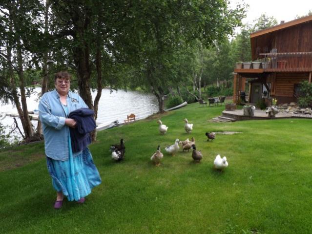 2013 Daniels Lake