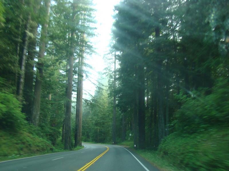 26 Oregon 125
