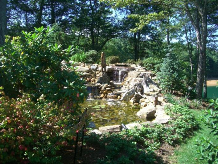 $40.000 pond