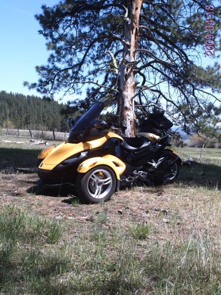 786x576 Ca HWY 36 6