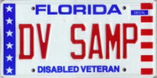 AUTO DV PLATE