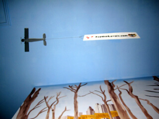 banner plane bottom