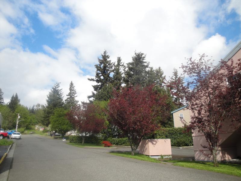 Bellingham, Washington - Out my back door...