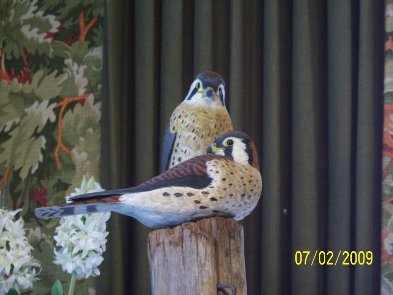 Birds.