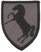 Black horse