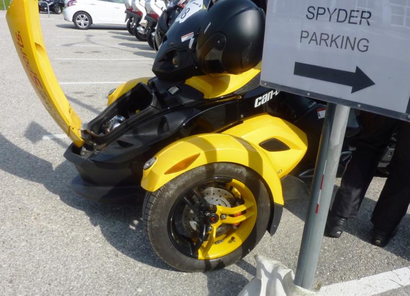black & yellow