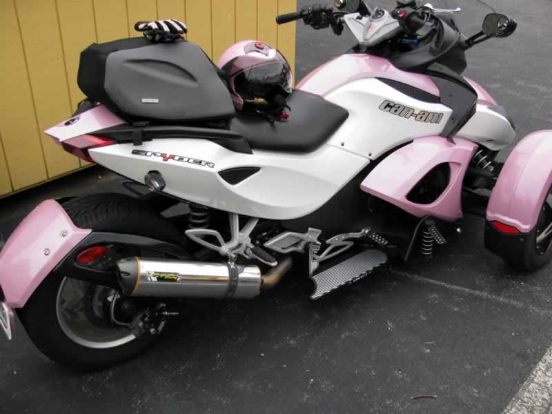 Catniption's Spyder