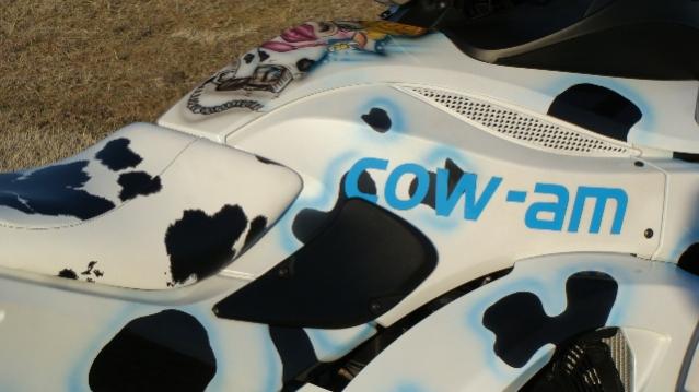 cowie 005