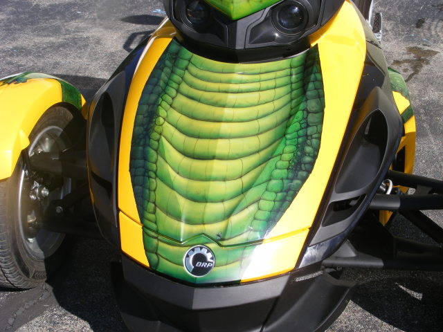 dadsspyder016