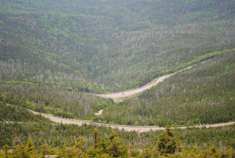 DSC 0219