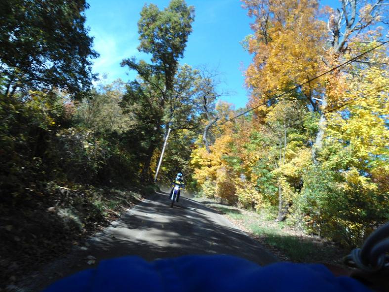 DSC00266 L