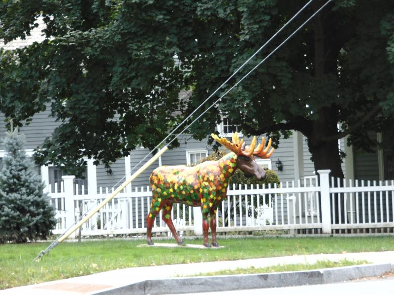 DSC00315
Bennington Monument Mount Equinox