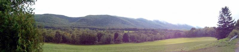 DSC00740