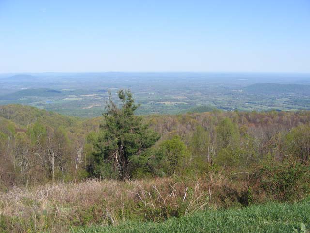 DSCF1654