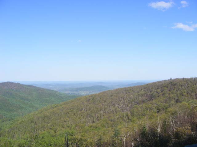 DSCF1659