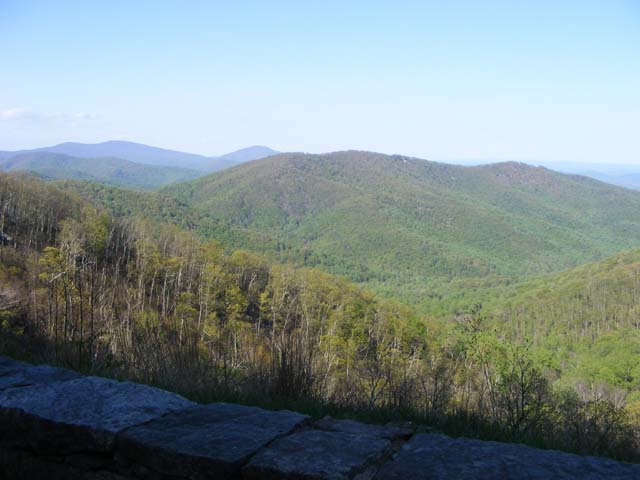 DSCF1665