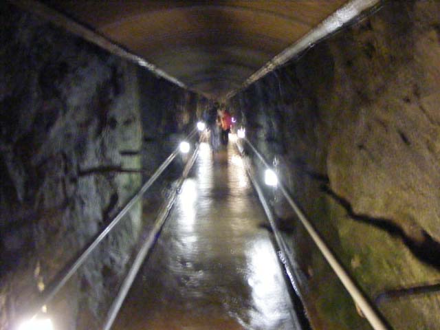 DSCF2776