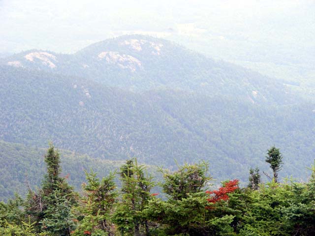 DSCF2783