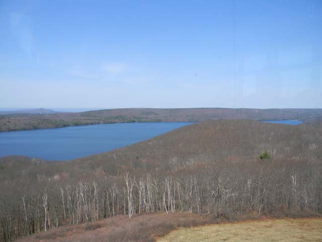 DSCN0145001