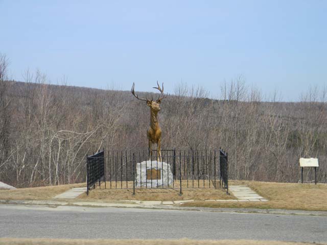 DSCN0323001