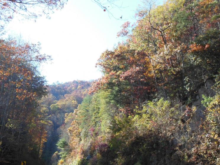 DSCN0518