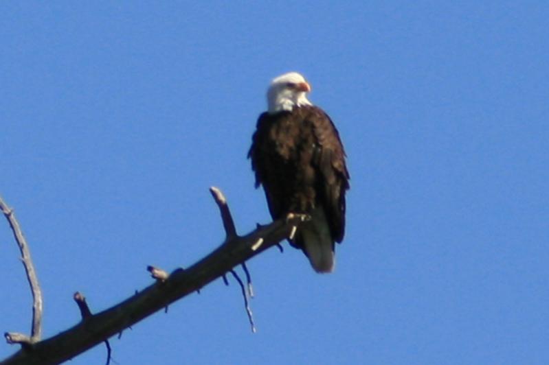 E IMG 4879
