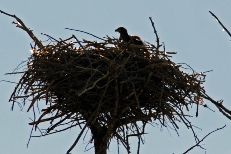 E IMG 4883