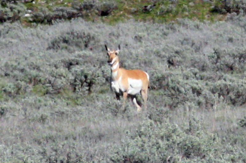 E IMG 4960