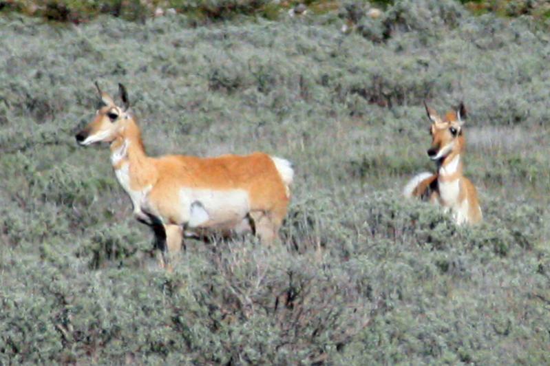 E IMG 4974