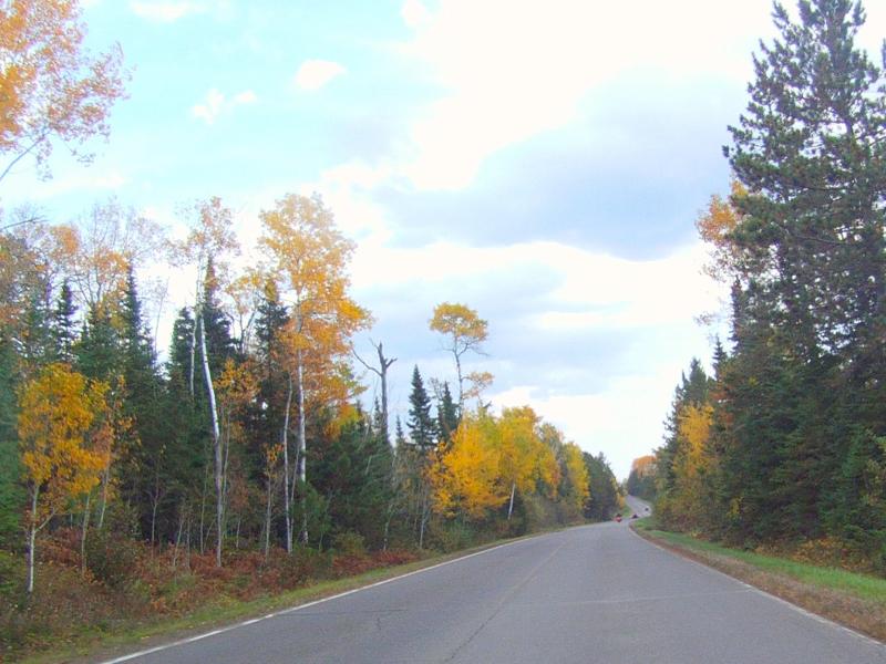 Fall Colors are just getting started...