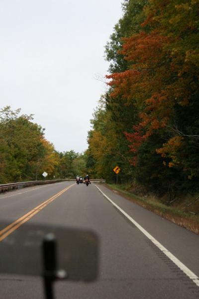 Fall Colors