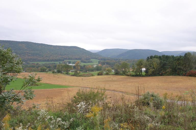 farmland
