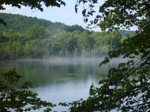 fog