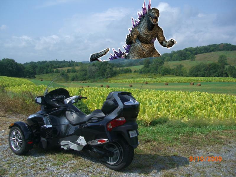 godzillaspyder
