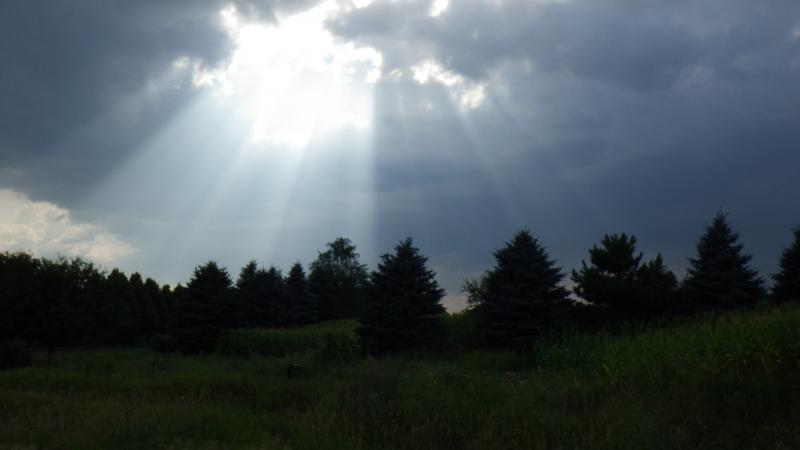 Got home just before 6pm before the sky's opened up and it poured.  Roads were wet, but we made in back just in time...just some roadspray, no downpou