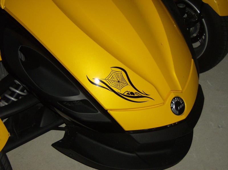 HPIM3508