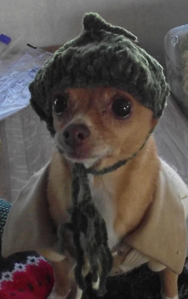 Image007