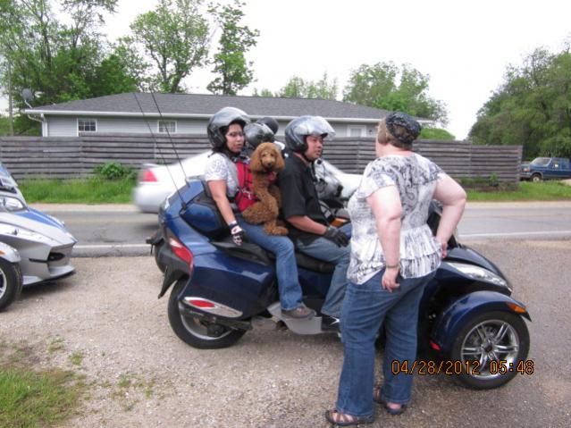 IMG 0203